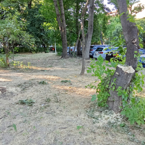 Taieri și fasonări de arbori în cartierul Mazepa din Galați preocupă locuitorii
