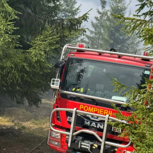 Incendiu de vegetație și pădure în Alba, localitatea Loman