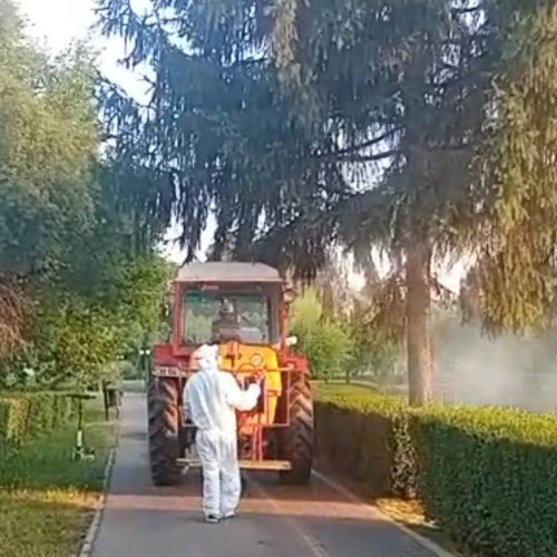 A doua acțiune de dezinsectie în Târgoviște, programată pentru perioada 14-25 iulie 2025