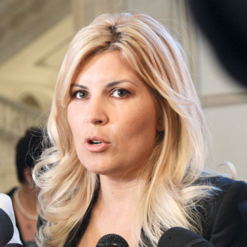 ANAF scoate la licitație terenurile deținute de Elena Udrea în Călărași