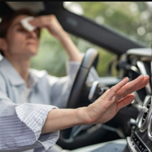 temperaturi extreme: sfaturi pentru soferi si pietoni în vreme de caniculă