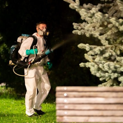 Dezinsectie la sol în Buzău în perioada 14-18 iulie