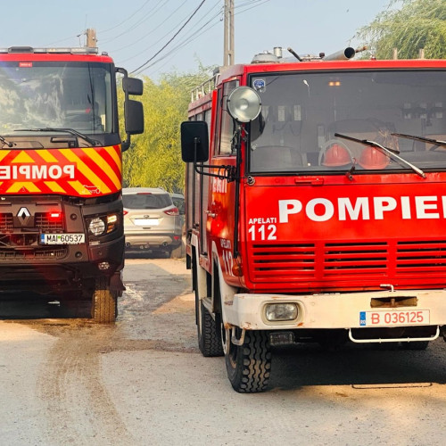 Incendiu la Poarta Alba: echipaje ale ISU Dobrogea în acțiune