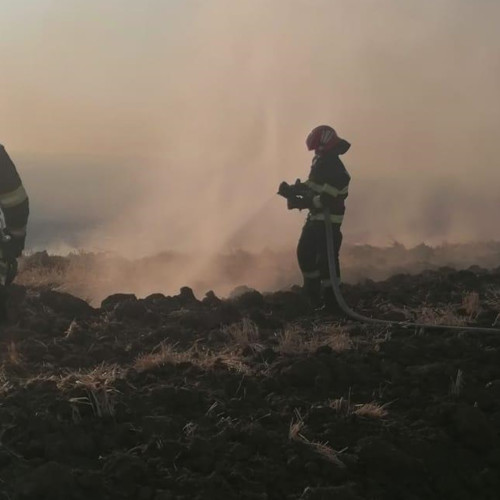 Incendiu de vegetație în Tulcea din cauza focului deschis