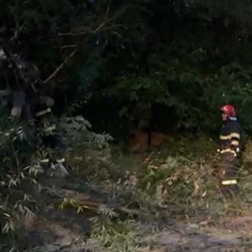 Pompierii din Alba Iulia au intervenit din cauza vijeliei și a pagubelor produse