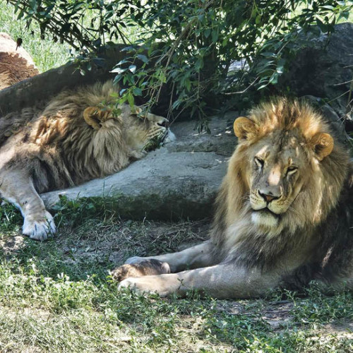 incident grav în Ploiești după o explozie într-un bloc de locuințe