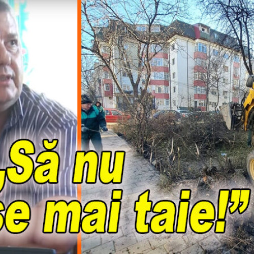 Proiect de lege pentru interzicerea tăierii gardului viu în Buzău