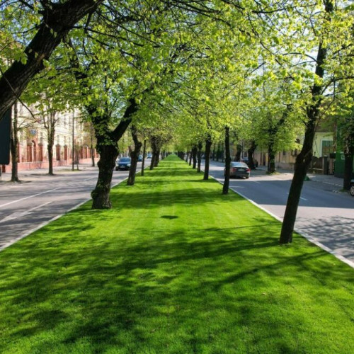 circulația rutieră va fi restricționată pentru siguranța lucrărilor