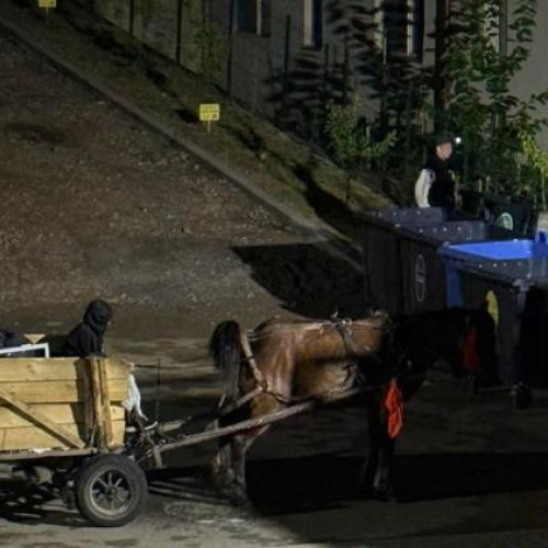 Un nou caz de cruzime împotriva animalelor a stârnit indignare în rândul locuitorilor din Florești. În centrul atenției se află un cal slăbit, care pare să fie forțat să tragă o caruță, în ciuda stării sale fragile.