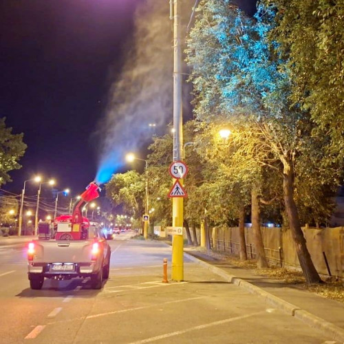 Echipele de dezinsectie acționează în oraș pentru a combate insectele care pot provoca disconfort
