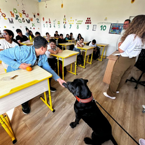 proiect pilot pentru cursul „ora cu și pentru animale” în Ilfov