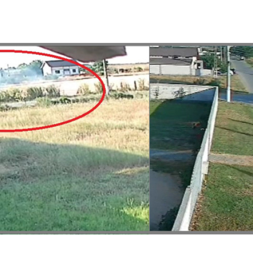 tineri surprinși în Poarta Alba În timp ce dădeau foc vegetației