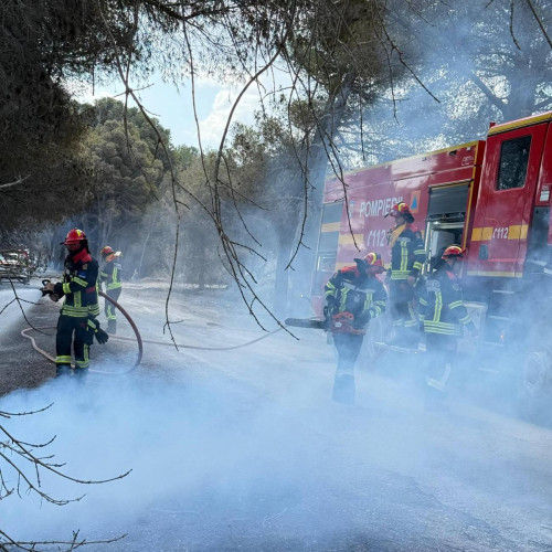 Pompierii români, pregătiți în Franța pentru combaterea incendiilor forestiere