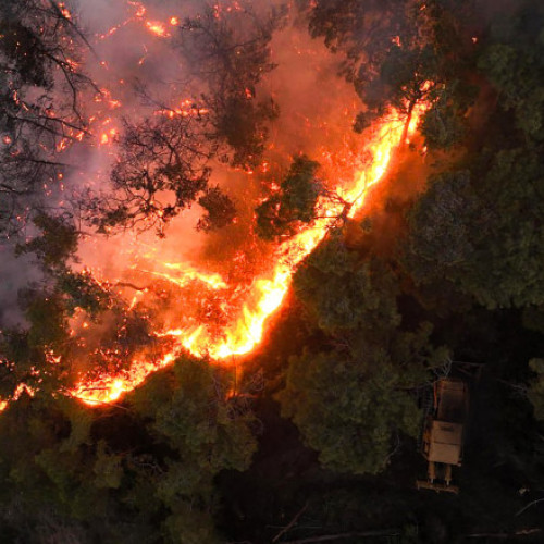 Incendiile forestiere din Siria continuă să provoace probleme în regiunea Latakia