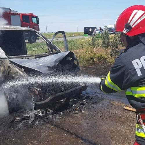 Incendiu lângă Niculitel, intervenție de amploare