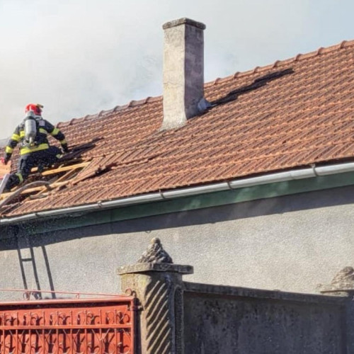 Incendiu la o anexă gospodărească în Sintea Mare