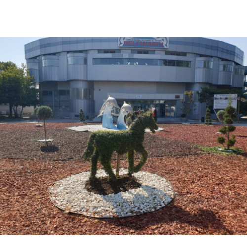 spațiu verde amenajat la spitalul județean din constanța de către act for tomorrow