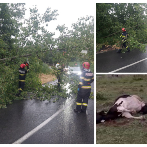 Pompierii din Cluj au intervenit din cauza fenomenelor meteorologice periculoase
