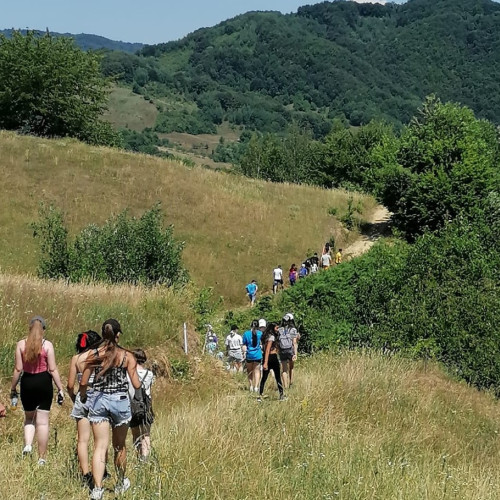 Școală din județul Botoșani organizează licitație pentru tabără de vară pentru elevi