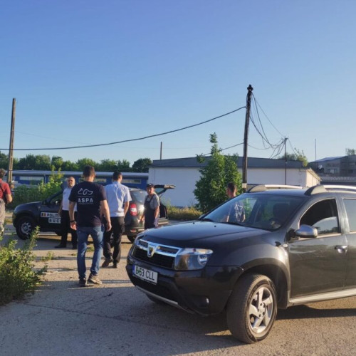 Intervenție a autorităților în zona Fizicienilor pentru capturarea unor câini periculoși