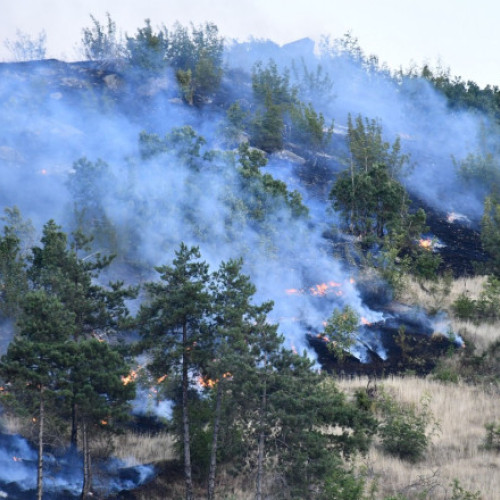 Guvernul Macedoniei de Nord a instituit stare de urgență pentru 30 de zile în întreaga țară, ca urmare a incendiilor de pădure care s-au agravat din cauza secetei, temperaturilor extreme și vântului puternic, informează digi24.ro. Purtătoarea de cuvânt a guvernului, Marija Miteva, a afirmat într-o conferință de presă la Skopje că această măsură necesită o acțiune coordonată din partea mai multor instituții, printre care armata, poliția, pompierii, centrul de management al crizelor, direcția de protecție și salvare și autoritățile locale.
