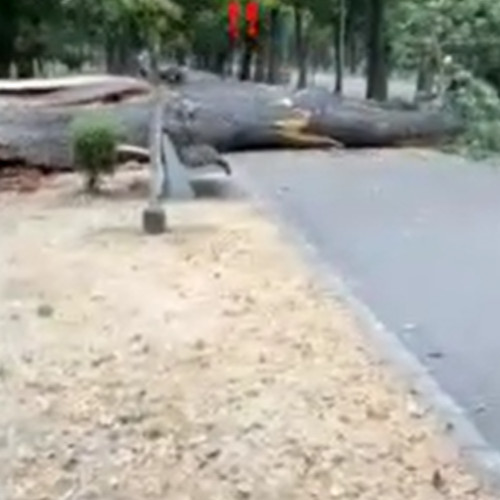 Furtuna puternică a cauzat pagube în județul Cluj, inclusiv în Cluj-Napoca