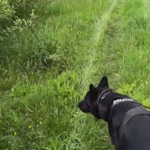 bărbat de 39 de ani din târgu jiu reținut pentru furt calificat