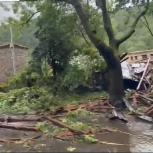 furtună puternică în Sinaia: copaci doborâți și trafic restricționat