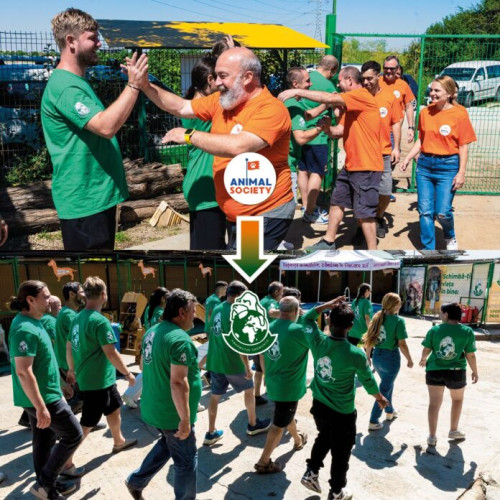 Fuziune între Animal Society și Adăpostul Speranța pentru un viitor mai bun al animalelor