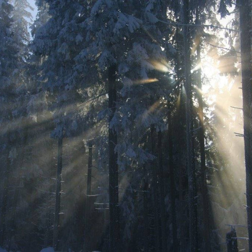 Schimbare brusc a vremii după o săptămână cu temperaturi de primăvară: răcire și ploi