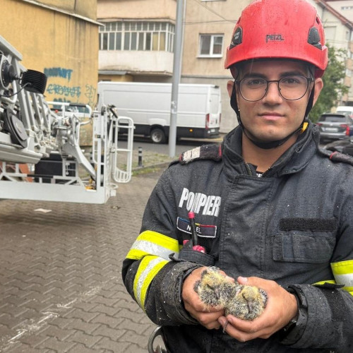 Pompierii din Alba Iulia au salvat doi pui de porumbel blocați în structura unui bloc, din cauza vântului puternic