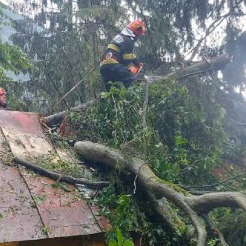 Trei persoane rănite în urma furtunii puternice din Sinaia, transportate la spital
