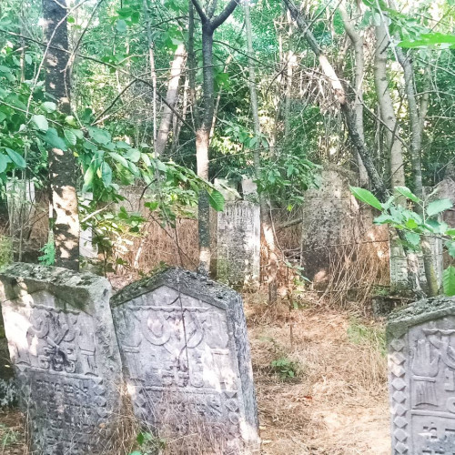 cimitirul evreiesc din darabani: o poveste de memorie și natură