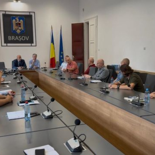 Riscul pentru arborii din zona aleilor de sub Tampa, Brașov, a devenit o problemă alarmantă