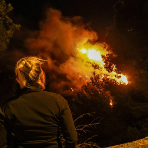 Incendiu de vegetație în Marsilia, sub control temporar