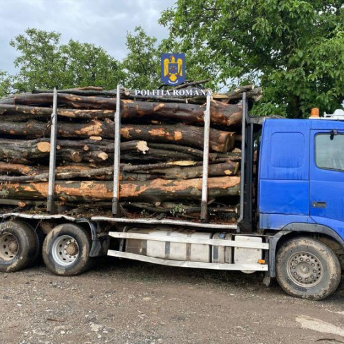 Transport ilegal de lemne oprit în localitatea Poieni