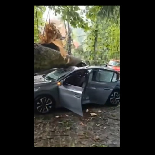 Fenomen meteorologic sever afectează Sinaia și împrejurimile