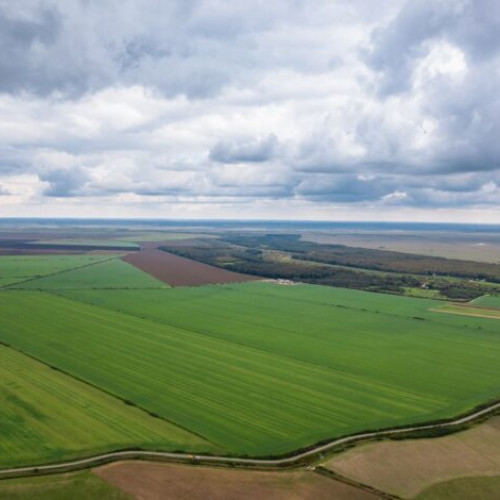 Piața imobiliară din România a rămas activă în prima jumătate a anului 2025, în ciuda instabilității economice, potrivit datelor Agenției Naționale de Cadastru și Publicitate Imobiliară (ANCPI). În cele șase luni, au fost înregistrate 288.886 de tranzacții imobiliare, cu aproape 7.600 mai puține decât în aceeași perioadă a anului trecut.