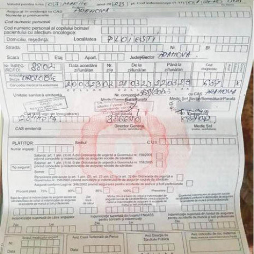 N. Dumitrescu, eveniment surprinzător în localitate