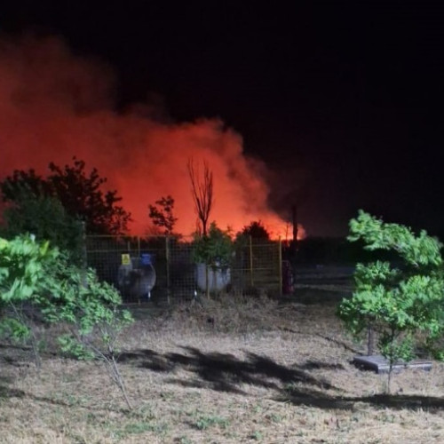 Incendiu de vegetație aproape de azil în județul Constanța
