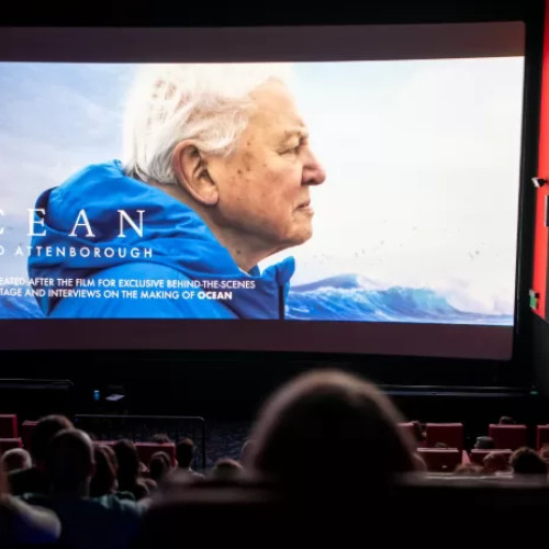 cea de-a treia ediție a festivalului lynx la brasov