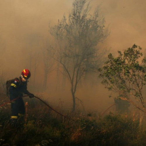 incendiu de vegetație pe insula Thassos provoacă panică și evacuări