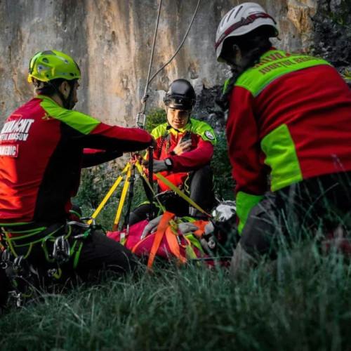 Creșteri ale incidentelor în sezonul cald din cauza mușcăturilor și reacțiilor alergice