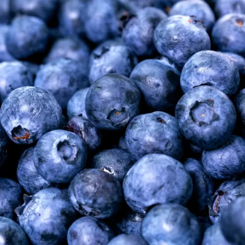 Alerte legate de consumul de afine din cauza riscului de contaminare cu listerie