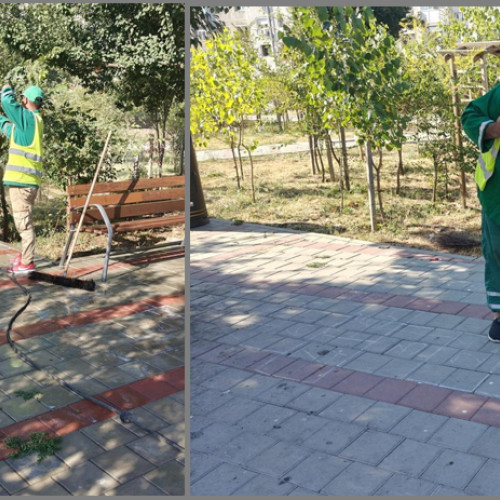 Zonele verzi din cartierul Inel 2 din Constanța, curățate de echipele Polaris M Holding