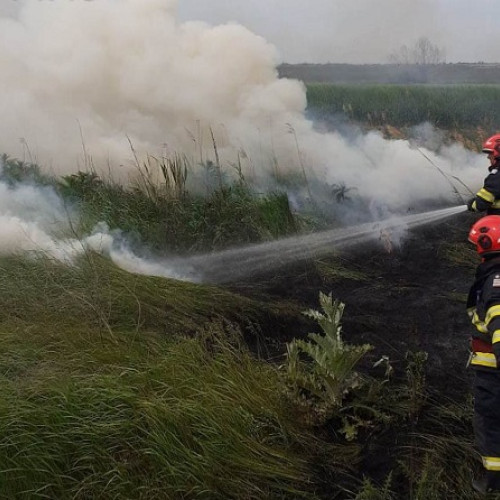 Incendiu de vegetație în zona Dobrogea