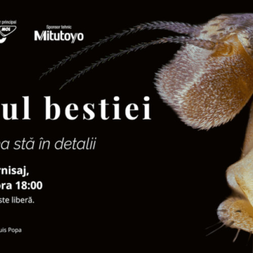 expozitia de fotografie macro „chipul bestiei” la muzeul national de istorie naturala "grigore antipa"