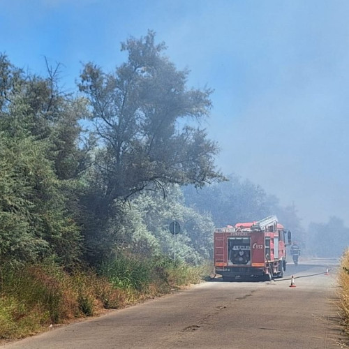 Incendiu de vegetație în Mangalia, intervenție masivă a pompierilor