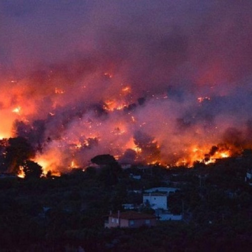 Incendiul care a cuprins insula Thassos, Grecia, creează panică printre românii aflați în vacanță