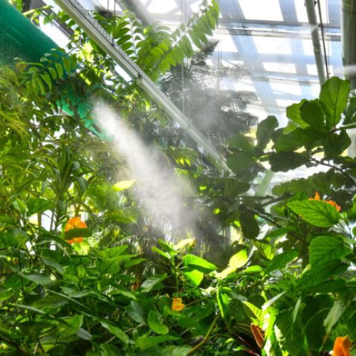 primaria sectorului 6 invită bucureștenii să descopere o oază de natură în serele exotice din parcul Drumul Taberei